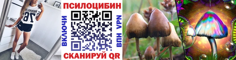 дарнет шоп Безенчук Псилоцибиновые грибы Magic Shrooms